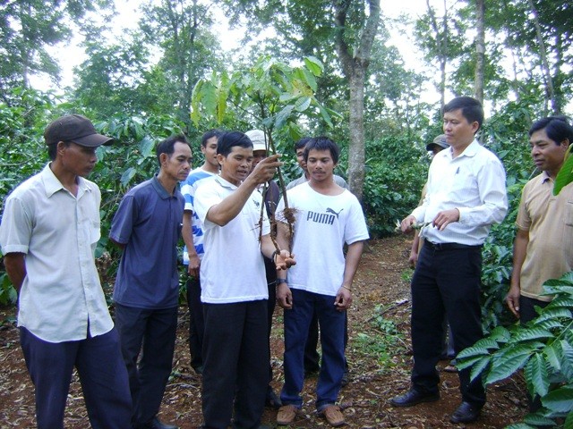 New rural development in Cu M’ga, Dak Lak - ảnh 1